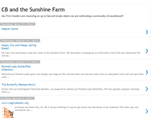 Tablet Screenshot of cbandthesunshineband.blogspot.com