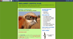 Desktop Screenshot of anellamentsvo.blogspot.com