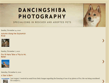 Tablet Screenshot of dancingshibaphotography.blogspot.com