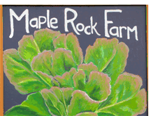 Tablet Screenshot of maplerockfarm.blogspot.com