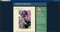 Desktop Screenshot of licensed-by-southernmuse.blogspot.com