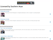 Tablet Screenshot of licensed-by-southernmuse.blogspot.com