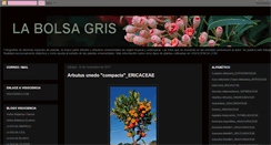 Desktop Screenshot of labolsagris.blogspot.com