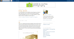 Desktop Screenshot of candidsbycourtney.blogspot.com