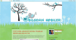 Desktop Screenshot of bilgeninhobileri.blogspot.com