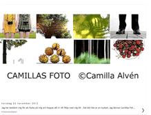 Tablet Screenshot of camillasfoto.blogspot.com