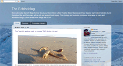 Desktop Screenshot of echinoblog.blogspot.com