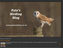 Tablet Screenshot of petesbirdingblog.blogspot.com