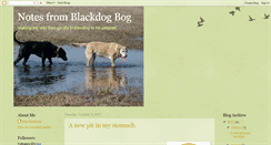 Desktop Screenshot of blackdogbog.blogspot.com