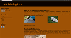 Desktop Screenshot of mnpointinglabs.blogspot.com