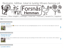 Tablet Screenshot of forsnashemman.blogspot.com