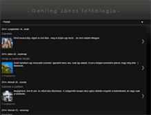 Tablet Screenshot of gehringj.blogspot.com