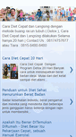 Mobile Screenshot of caradietcepatlangsing.blogspot.com
