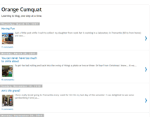 Tablet Screenshot of orangecumquat.blogspot.com