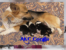 Tablet Screenshot of diamondkcorgis.blogspot.com