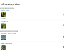 Tablet Screenshot of indonesianphotos.blogspot.com