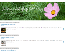 Tablet Screenshot of nhungmanhghepcuocsong.blogspot.com