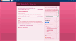 Desktop Screenshot of catarinasantos96.blogspot.com