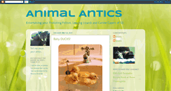 Desktop Screenshot of myanimalantics.blogspot.com