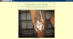 Desktop Screenshot of operationsaveteddy.blogspot.com