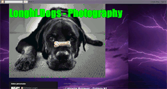 Desktop Screenshot of longhi-dogs-photography.blogspot.com