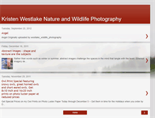 Tablet Screenshot of kristenwestlake.blogspot.com