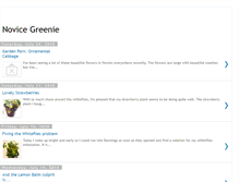 Tablet Screenshot of novicegreenie.blogspot.com