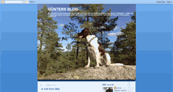 Desktop Screenshot of gunterdog.blogspot.com