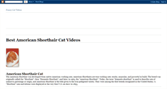 Desktop Screenshot of best-american-shorthair-cat-videos.blogspot.com