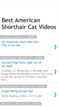 Mobile Screenshot of best-american-shorthair-cat-videos.blogspot.com