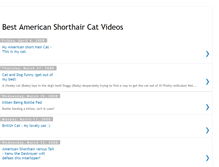 Tablet Screenshot of best-american-shorthair-cat-videos.blogspot.com