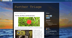 Desktop Screenshot of furthertriage.blogspot.com