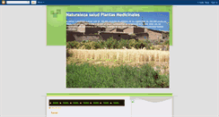 Desktop Screenshot of fg-naturalezasalud.blogspot.com