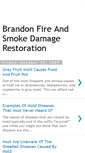 Mobile Screenshot of brandonfireandsmokedamage.blogspot.com