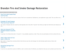 Tablet Screenshot of brandonfireandsmokedamage.blogspot.com