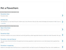 Tablet Screenshot of pet-a-flowerhorn.blogspot.com