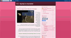 Desktop Screenshot of biyolojivemucizeler.blogspot.com
