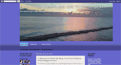 Desktop Screenshot of buildingcastlesonthebeach.blogspot.com