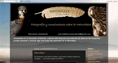 Desktop Screenshot of centrodehalconesmadrid.blogspot.com