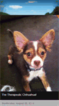 Mobile Screenshot of chestertherapydog.blogspot.com