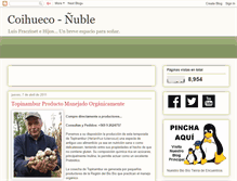 Tablet Screenshot of coihuecobiobio.blogspot.com