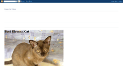 Desktop Screenshot of best-birman-cat.blogspot.com