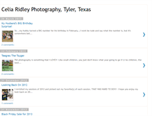 Tablet Screenshot of celiaridleyphotography.blogspot.com