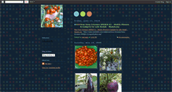 Desktop Screenshot of mai-agro.blogspot.com