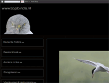 Tablet Screenshot of birdsandnatureoldambt.blogspot.com