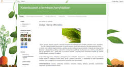 Desktop Screenshot of florindakonyha.blogspot.com