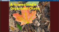 Desktop Screenshot of ahousewifesorganizedchaos.blogspot.com