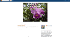 Desktop Screenshot of orchidsblooms.blogspot.com