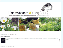 Tablet Screenshot of limestoneandmaples.blogspot.com