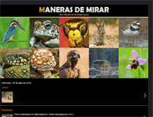 Tablet Screenshot of manerasdemirarbyelsa.blogspot.com